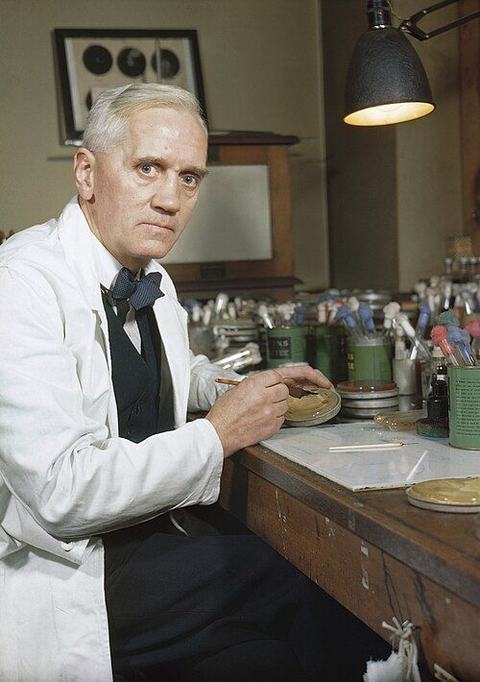 Portrait de Alexander Fleming
