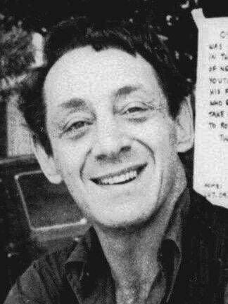 Portrait de Harvey Milk