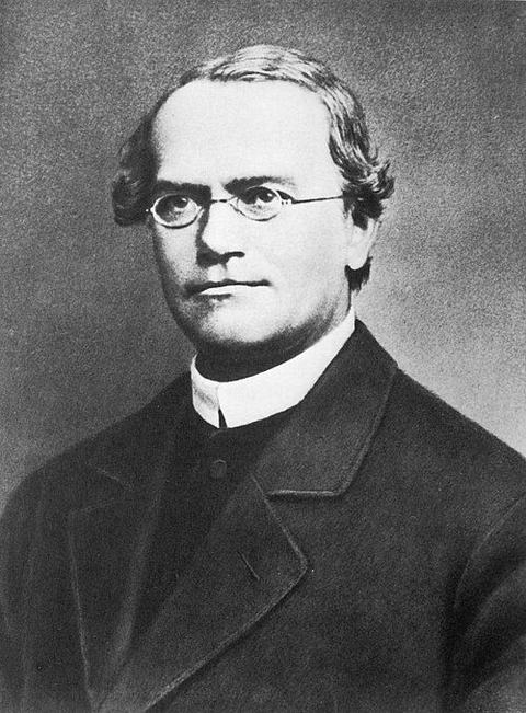 Portrait de Gregor Mendel